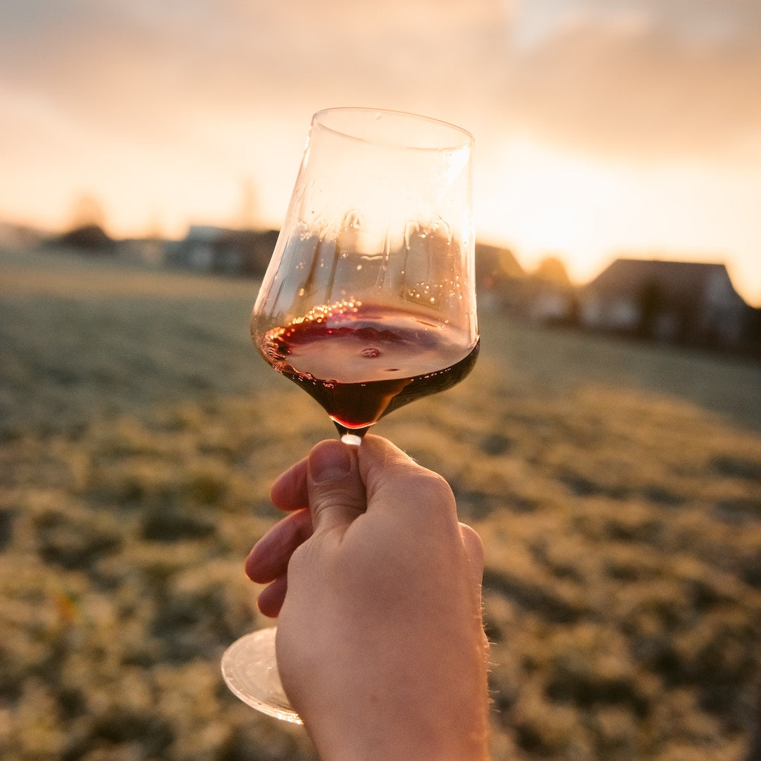 Vini Piwi: un'esperienza unica tra Gusto e Sostenibilità