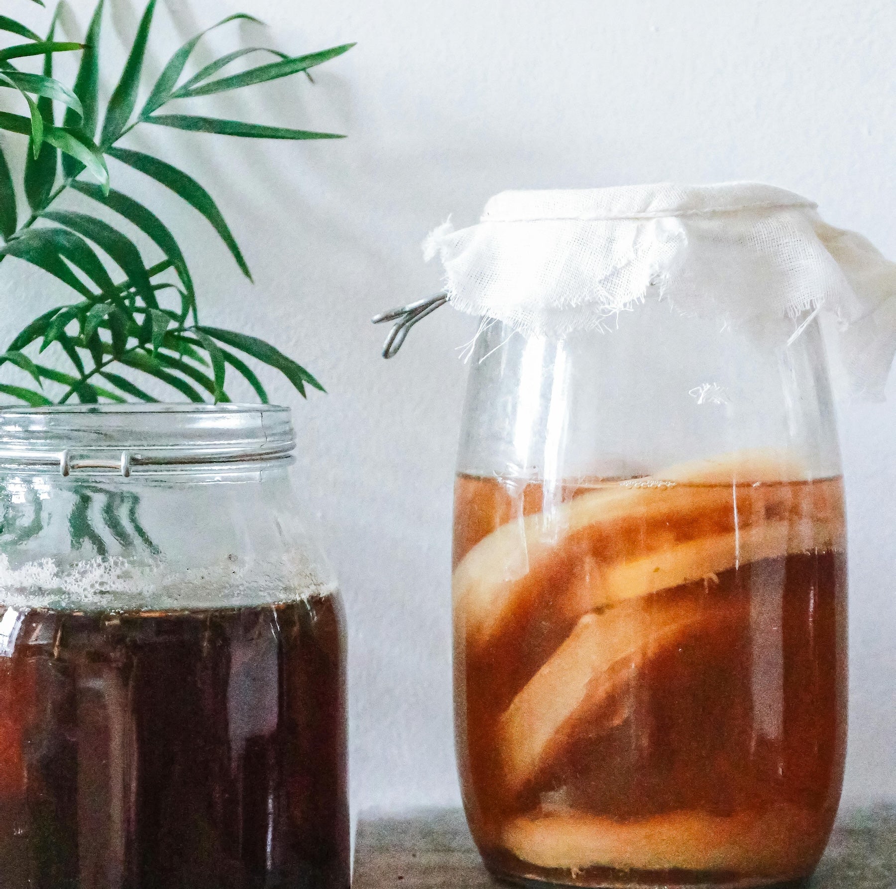 Kombucha: Cos’è, benefici e come prepararlo