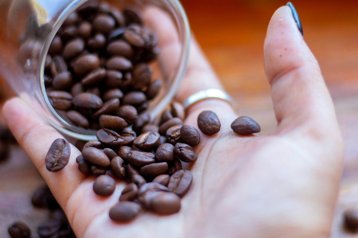 a person holding a jar full of coffee beans