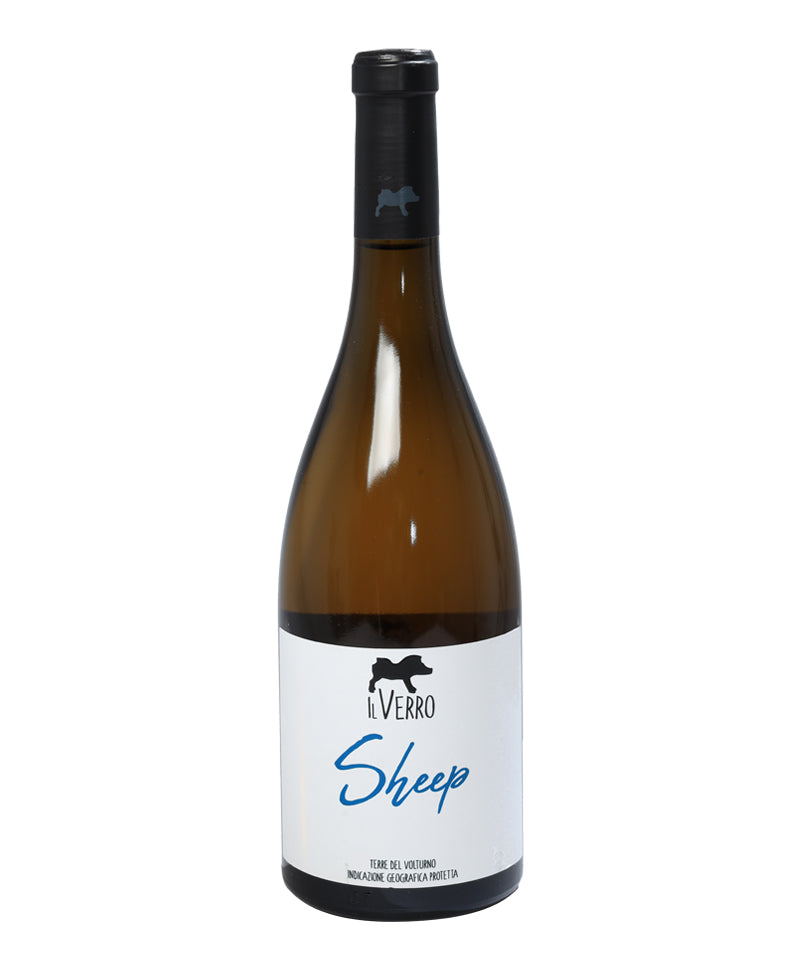 2022 Coda Di Pecora Sheep Bio* - Il Verro