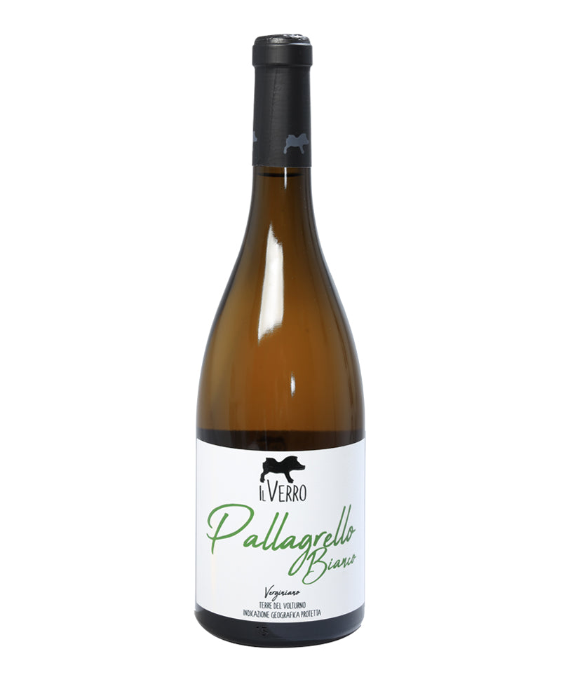 2022 Pallagrello Bianco Verginiano Bio* - Il Verro