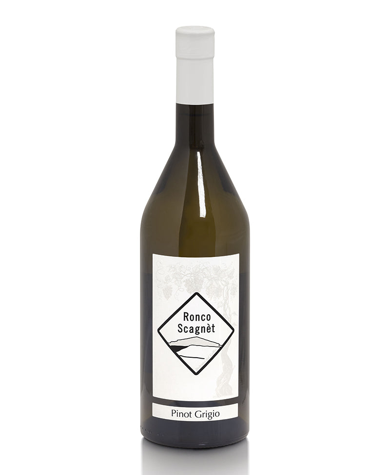 2023 Pinot Grigio Collio - Ronco Scagnet