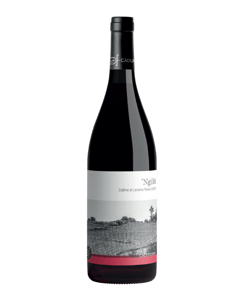 2022 'ngilu Colline Di Levanto Rosso - Ca' Du Ferra'