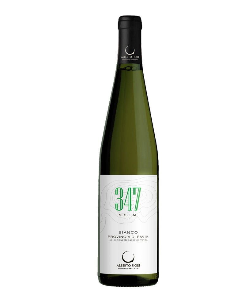 2023 Bianco 347 Mslm - Alberto Fiori