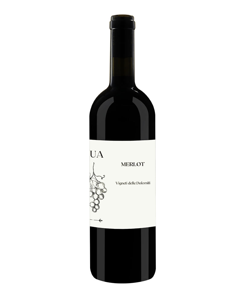 2023 Merlot - L'ua