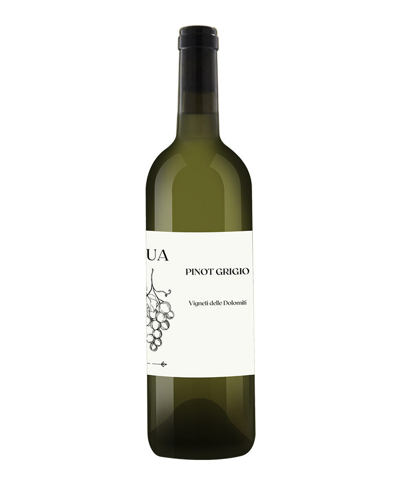 2023 Pinot Grigio - L'ua