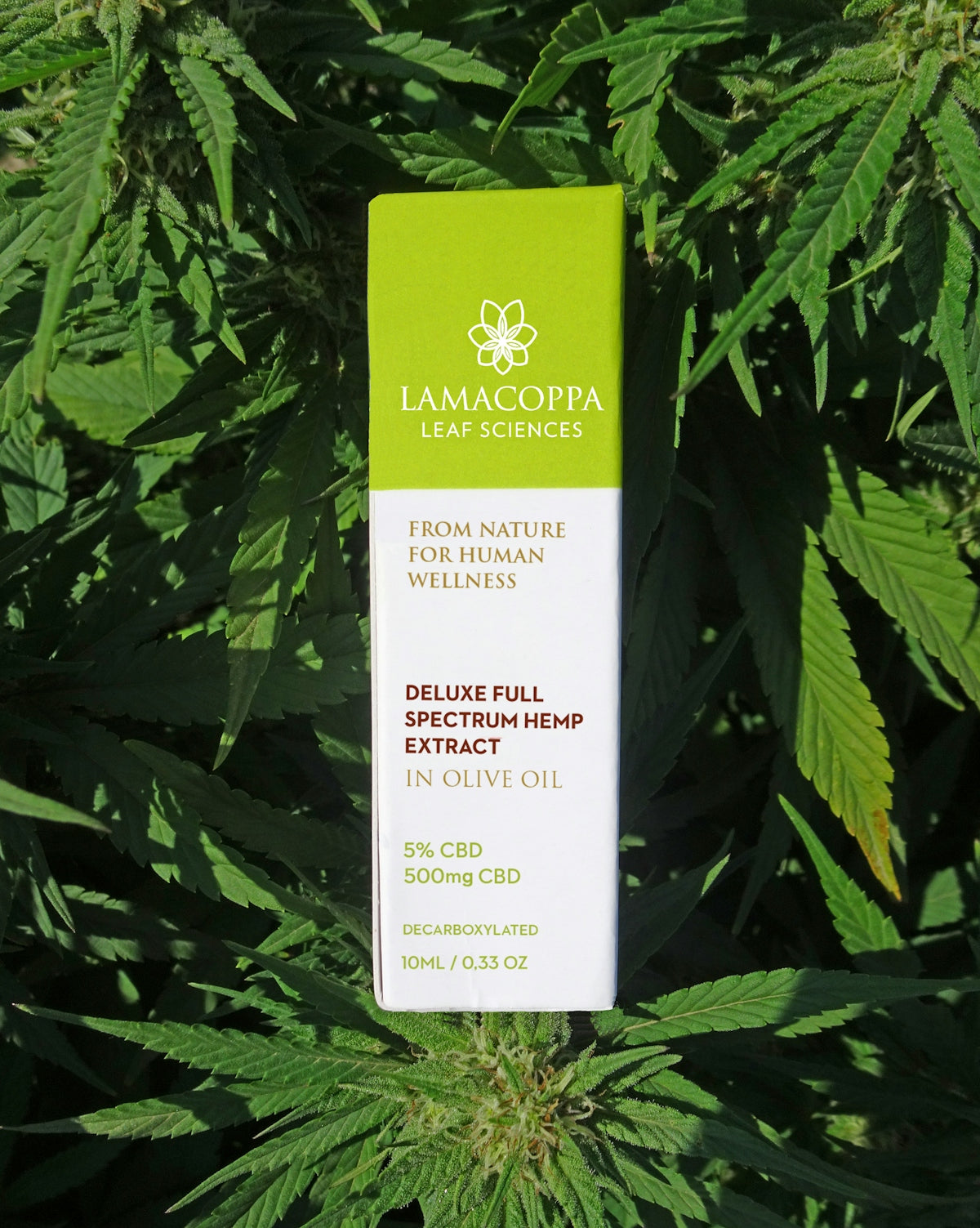 a bottle of cannabis oil sitting on top of a plant
