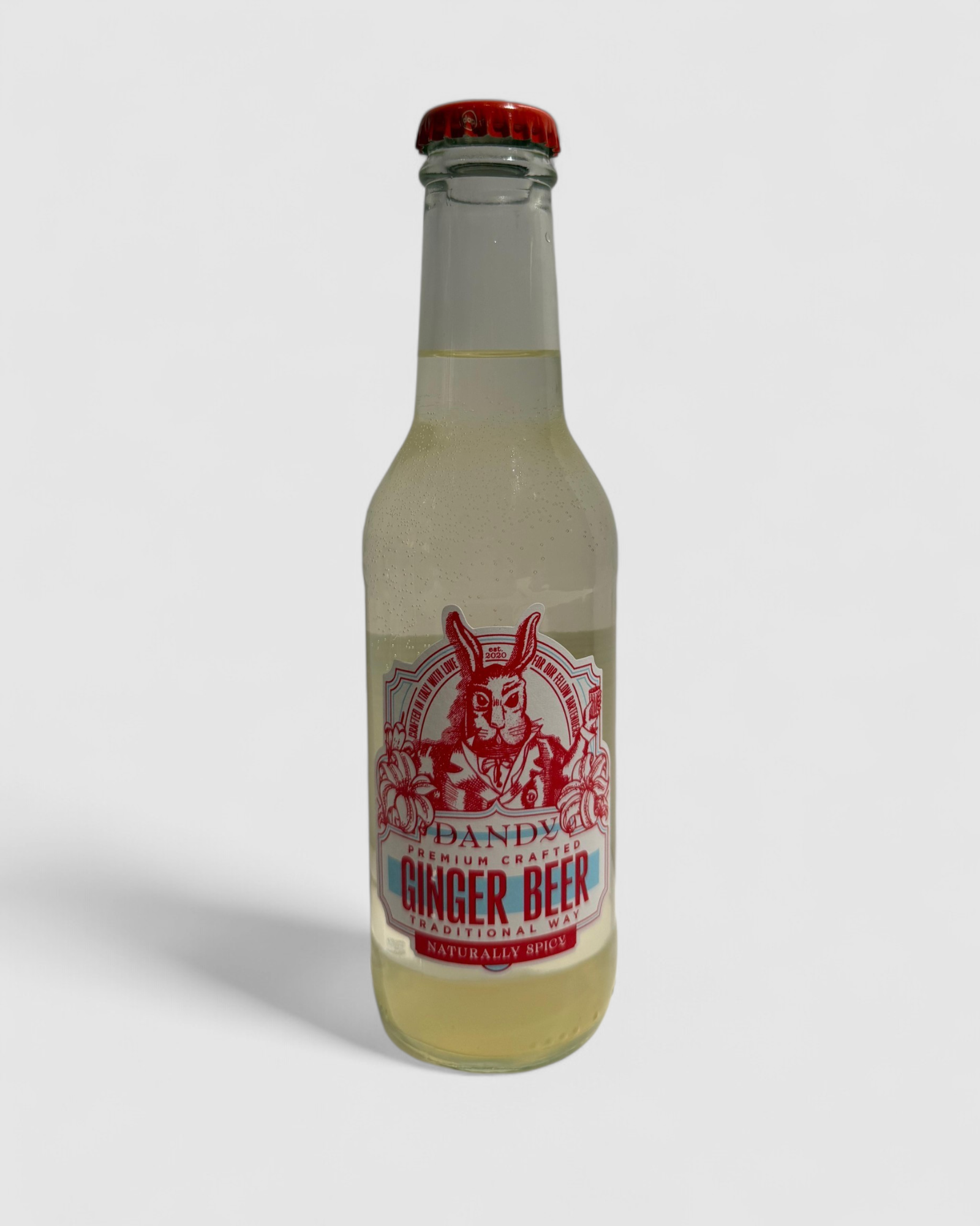 Premium Crafted Ginger Beer - Traditional way - Dandy