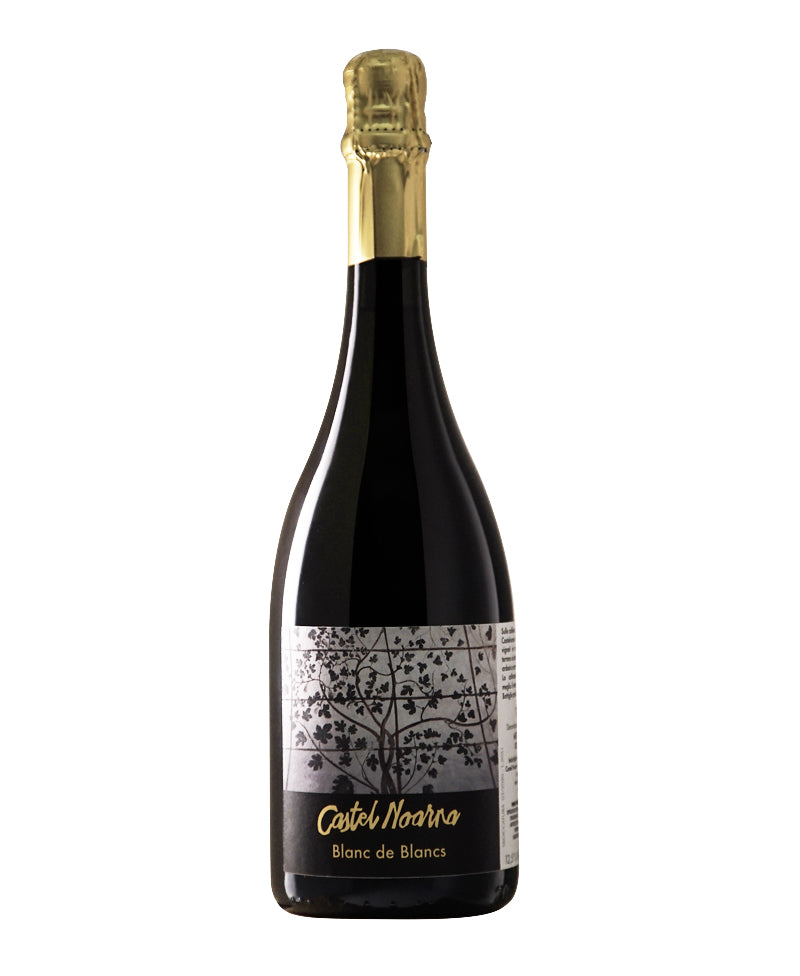 2018 Trento Blanc De Blancs Extra Brut Bio* - Castel Noarna