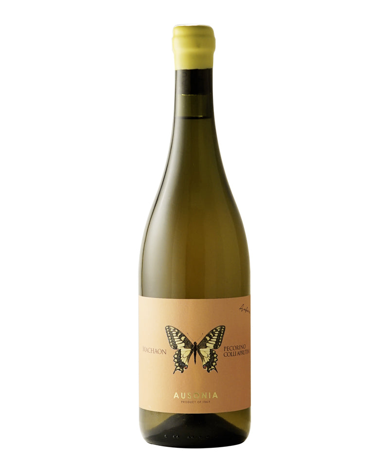 2022 Anfora Machaon Pecorino Colli Aprutini Bio* - Ausonia