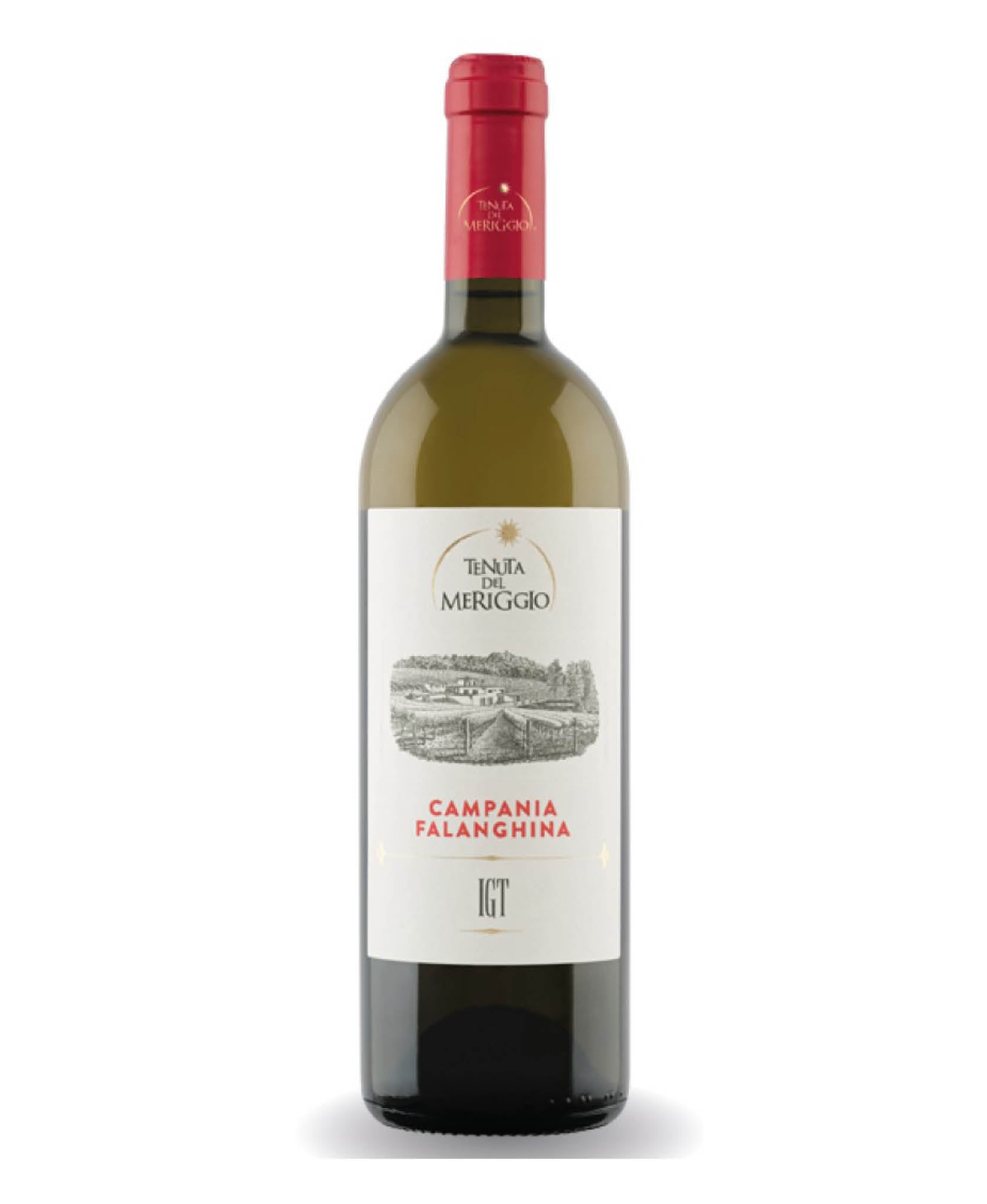 2024 Falanghina Irpinia - Tenuta Del Meriggio