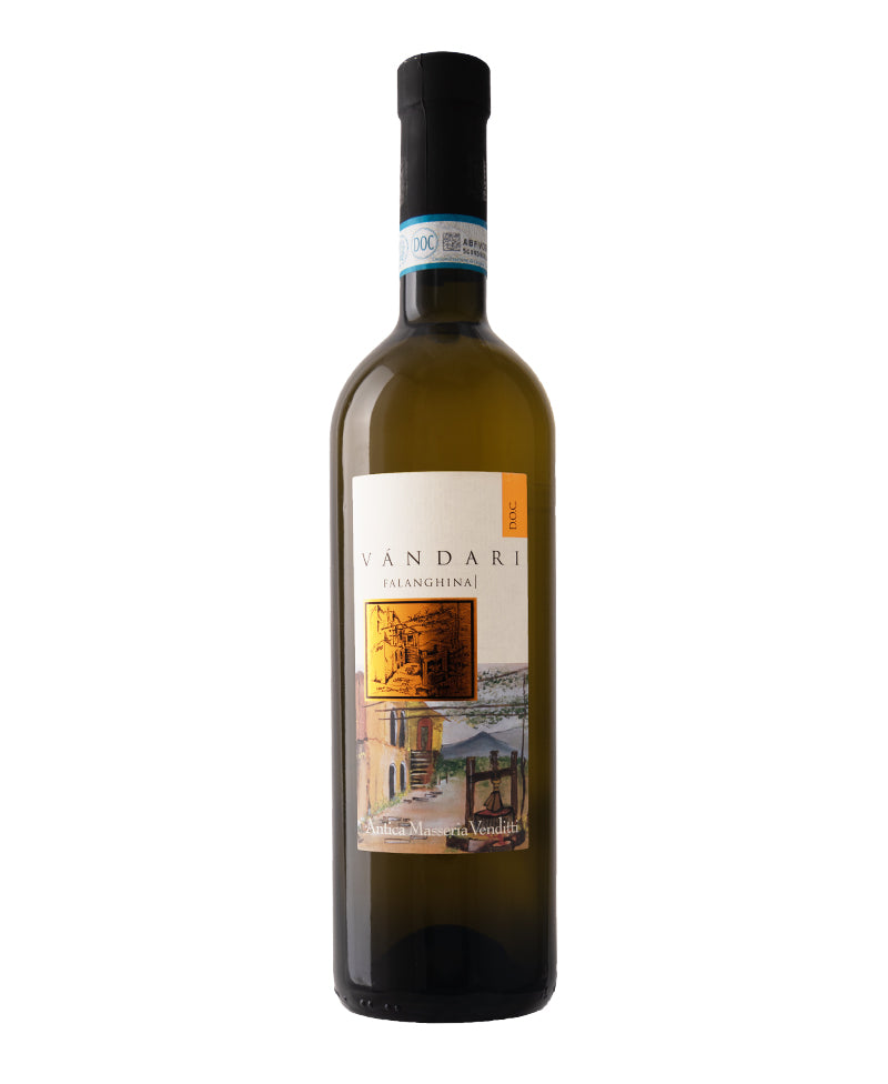 2024 Vandari Falanghina Sannio Bio* - Venditti