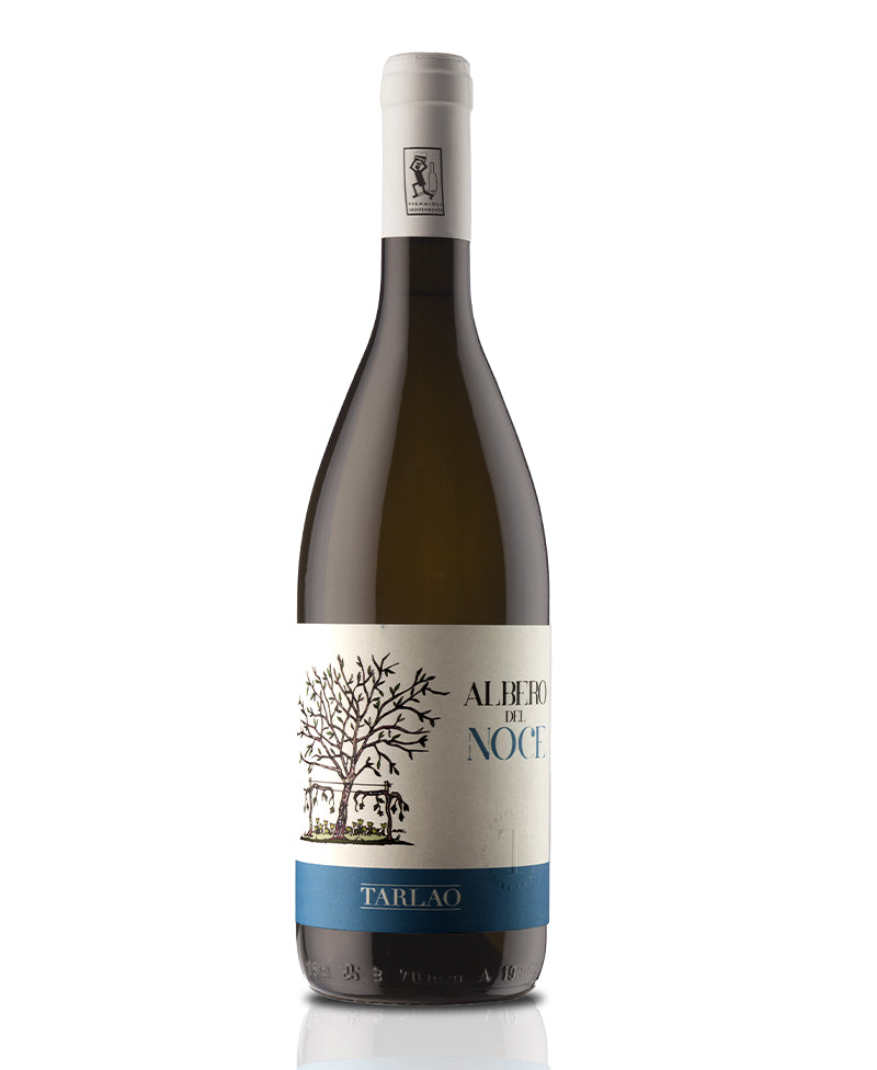 2024 Friulano Aquileia Selezione Albero Del Noce - Tarlao