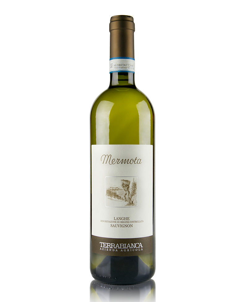 2022 Langhe Sauvignon Mermota - Terrabianca