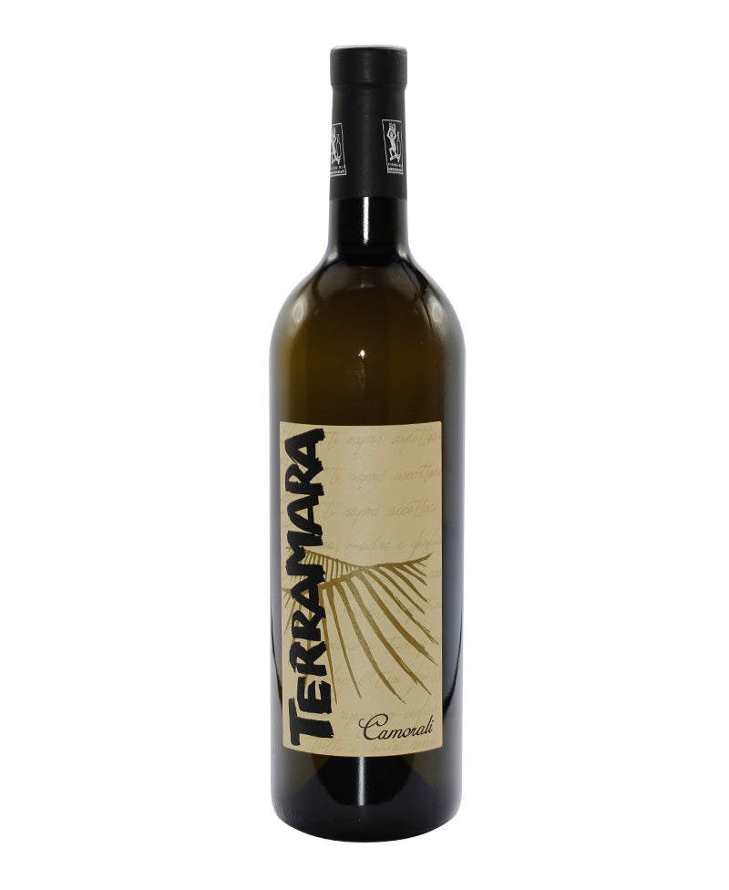 2023 Malvasia Colli Piacentini Terramara - Camorali