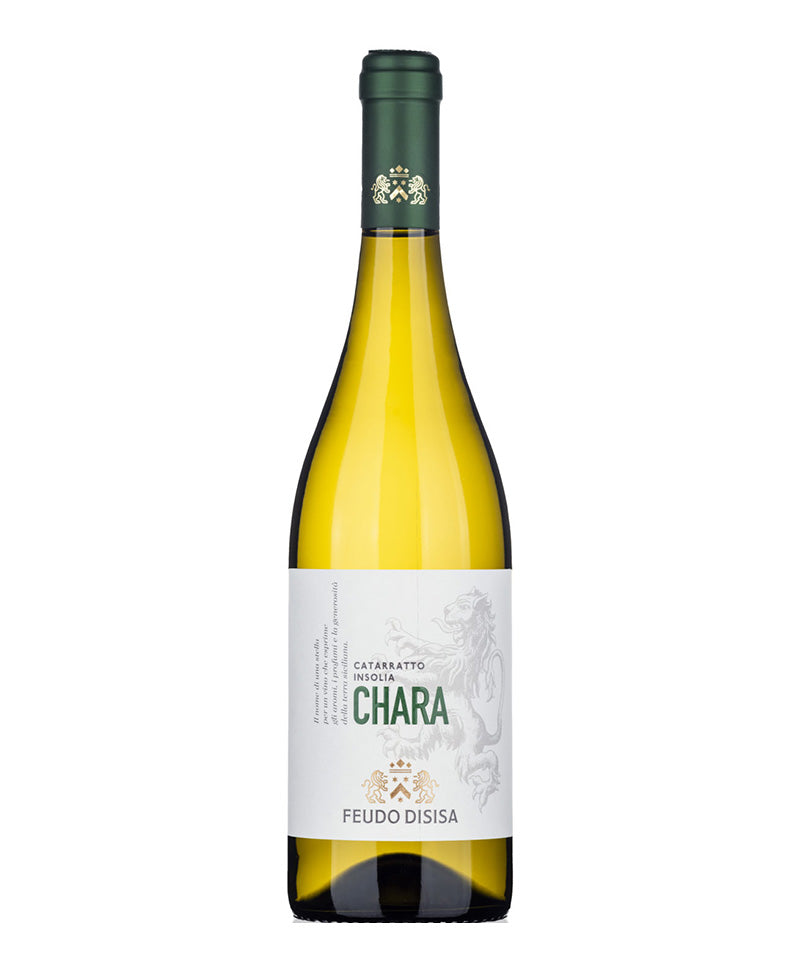 2024 Chara Promo - Disisa