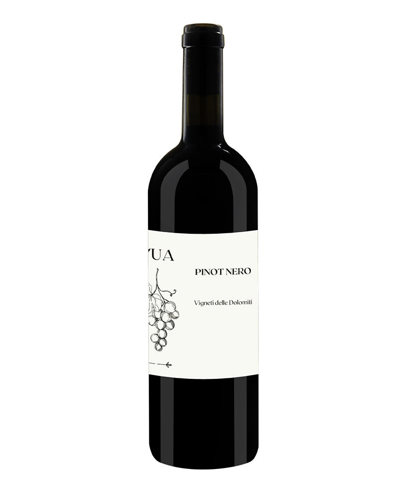 2023 Pinot Nero - L'ua