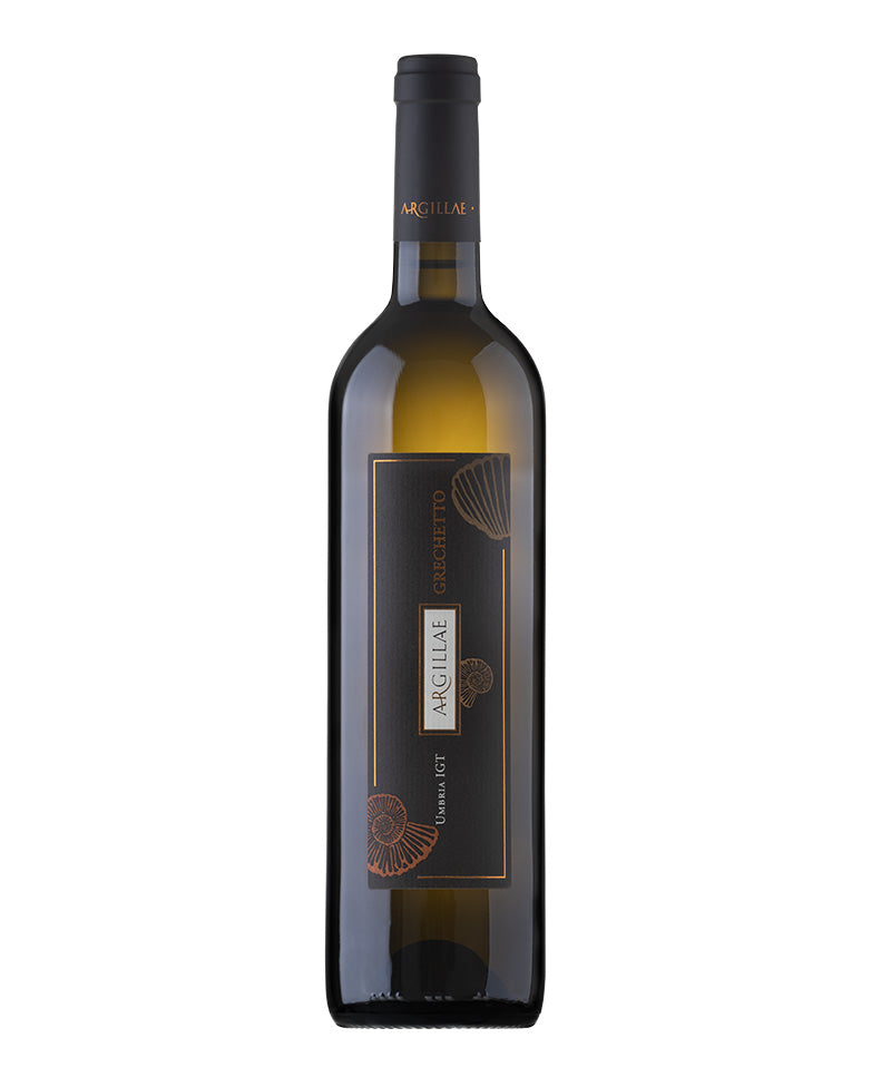 2023 Grechetto - Argillae