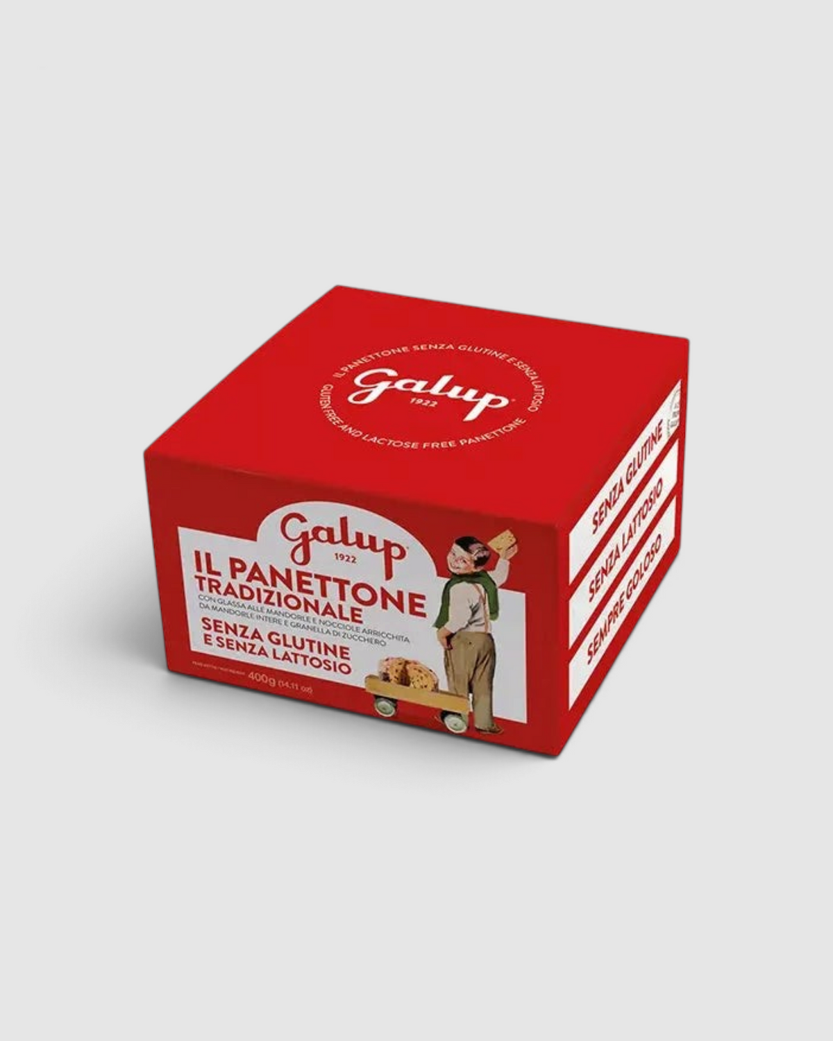 Panettone Gran Galup tradizionale senza glutine 400 g, confezione del prodotto