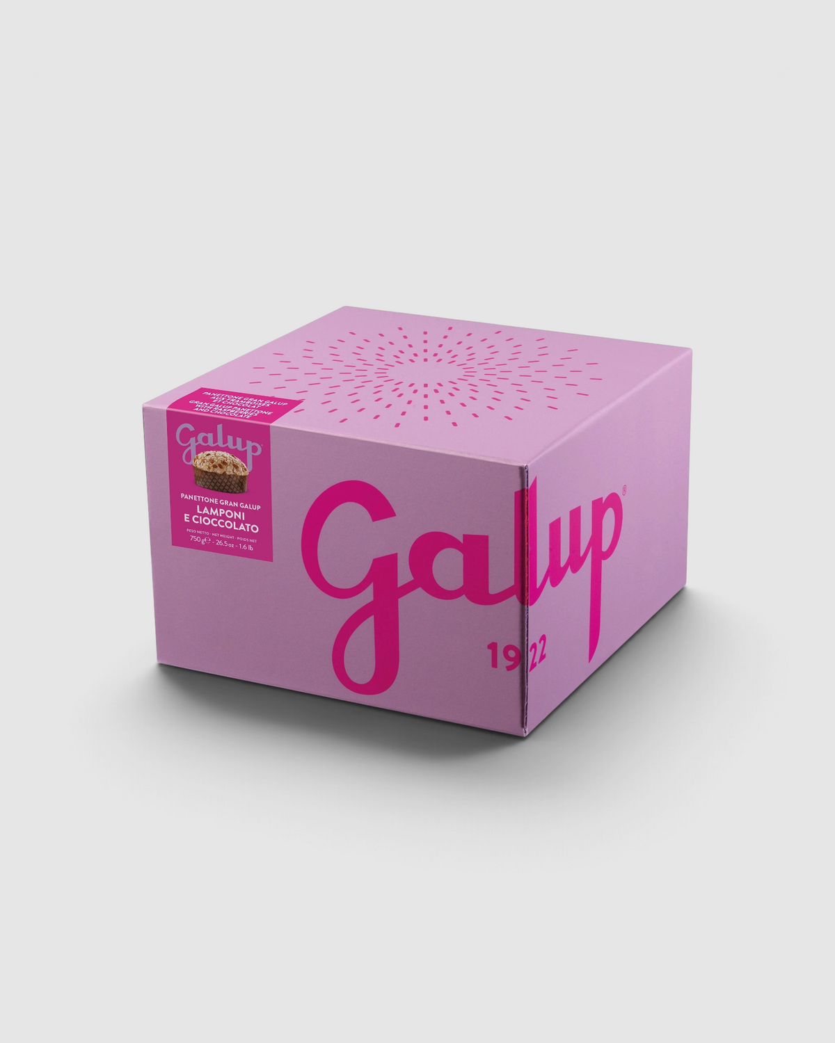 Panettone lamponi e cioccolato Colorfully 750 g - Galup, confezione del prodotto